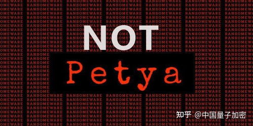 大力發(fā)展信息安全技術，積極應對網絡攻擊